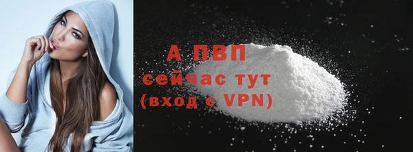 амф Беломорск