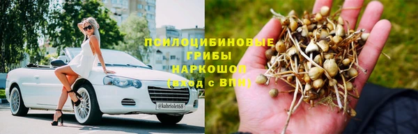 амф Беломорск