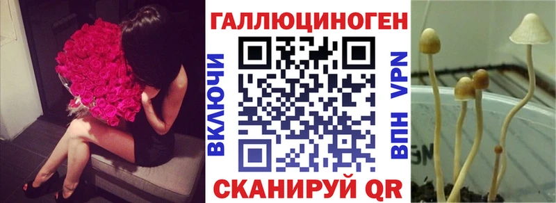 Галлюциногенные грибы Magic Shrooms  хочу наркоту  Воскресенск 